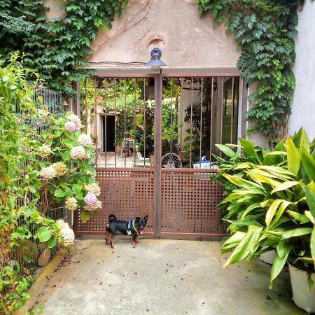 Marakasa B&B Сан-Антонио-де-Калонже Экстерьер фото