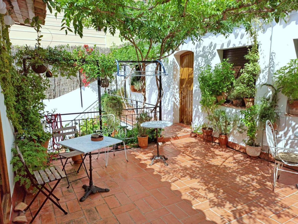 Marakasa B&B Сан-Антонио-де-Калонже Экстерьер фото